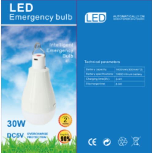 Лампочка Кемпинг с съемный аккумулятором (18650) LED Emergency Bulb 5106 (DC5В 30Вт Type-C) (100шт)