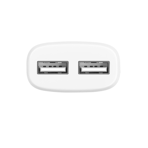 Сетевое зарядное устройство HOCO C12 (2.4A -- 2USB) (100шт)